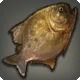 Bronze Pipira