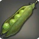 Buffalo Beans