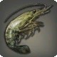 Burrow Shrimp