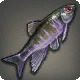 Cadaver Carp
