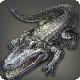 Caiman