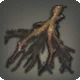 Calamus Root