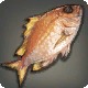 Canal Bream