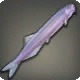 Candiru