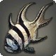 Cardinalfish