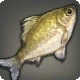 Catching Carp