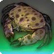Cazuela Crab