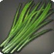 Chives
