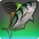 Cieldalaes Roosterfish