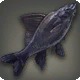 Cleyran Carp