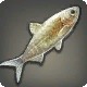 Cloudfish
