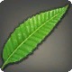 Cloudweed