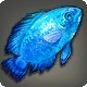 Cobalt Chromis
