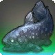 Coelacanthus