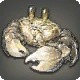 Coerthan Crab