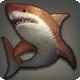 Copper Shark