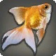 Copperfish