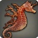 Coral Horse