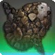 Craggy Sunfish