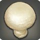 Creamtop Mushroom