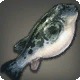 Crow Puffer