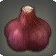 Cupflower Bulb