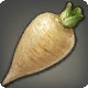 Daikon Radish
