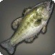 Darkside Bass