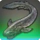 Deep-sea Eel