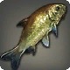 Doman Grass Carp