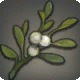 Dravanian Mistletoe