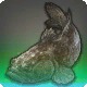 Dream Goby