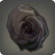 Dried Black Oldrose