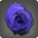 Dried Blue Oldrose