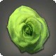 Dried Green Oldrose