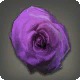 Dried Purple Oldrose