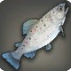 Driftdowns Trout
