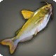 Driftwood Catfish