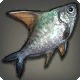 Dumplingfish
