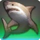 Dusk Shark