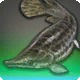 Duskfish