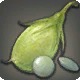 Eblan Lentils
