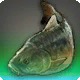 Esperance Carp