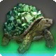 Euhedroturtle