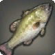 Faerie Bass