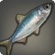 Fatty Herring