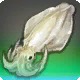 Fleeting Squid