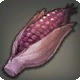 Flint Corn