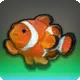 Frolicsome Fish
