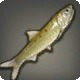 Fullmoon Sardine